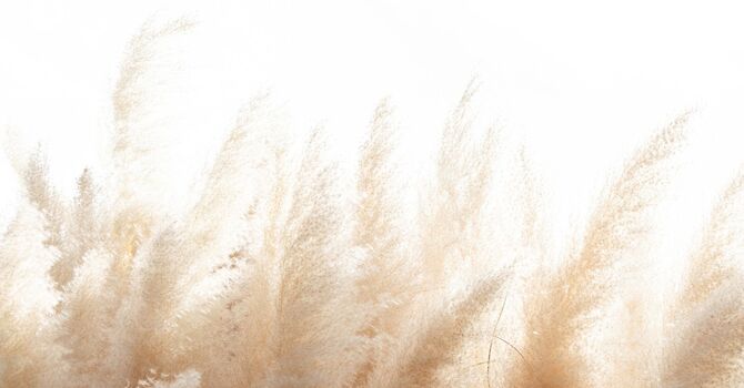 Occupational Therapy